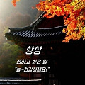 '출석합니다 ' 글에 포함된 이미지