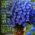 '출석합니다 ' 글에 포함된 이미지