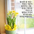 '출석합니다 ' 글에 포함된 이미지