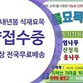 '안녕하세요 좋은 하루' 글에 포함된 이미지
