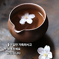 '출첵 ' 글에 포함된 이미지