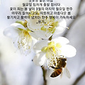 '' 글에 포함된 이미지