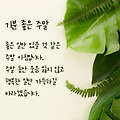 '출석합니다 ' 글에 포함된 이미지