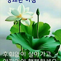 '비가시작된 고흥입니' 글에 포함된 이미지