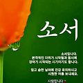 '출석합니다 ' 글에 포함된 이미지