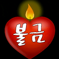 '겨울을 재촉 하는 빗' 글에 포함된 이미지