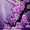 '쌀쌀한 아침 날씨지만' 글에 포함된 이미지