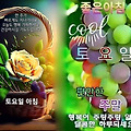 '출석 ' 글에 포함된 이미지