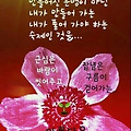 '오늘도 행복한 하루 ' 글에 포함된 이미지