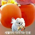 '출석합니다 ' 글에 포함된 이미지