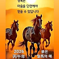 '출석합니다 ' 글에 포함된 이미지
