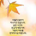 '출석합니다 ' 글에 포함된 이미지