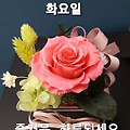 '출석합니다 ' 글에 포함된 이미지
