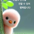 '출석합니다 ' 글에 포함된 이미지