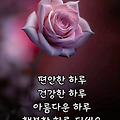 '출석합니다 ' 글에 포함된 이미지