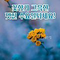 '출석합니다 ' 글에 포함된 이미지