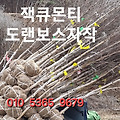 '출석합니다 오늘도 화' 글에 포함된 이미지