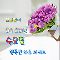 '출석합니다 ' 글에 포함된 이미지