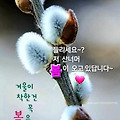 '출석합니다 ' 글에 포함된 이미지