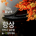 '가을이 낙엽과 함께 ' 글에 포함된 이미지