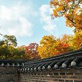 '즐거운 추석연휴,, 잠' 글에 포함된 이미지