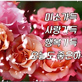 '출석합니다!' 글에 포함된 이미지