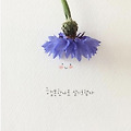 '산다는 것은살아 있다' 글에 포함된 이미지