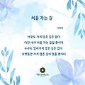 '우리모두는처음가는 ' 글에 포함된 이미지