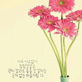 '오늘 하루도내 생각이' 글에 포함된 이미지
