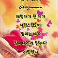 댓글 첨부 이미지