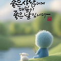 댓글 첨부 이미지