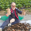 '오늘은  날씨가  쾌청' 글에 포함된 이미지