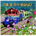 '안녕하세요? 새로운 9' 글에 포함된 이미지
