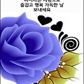'우리가 관심을 집중시' 글에 포함된 이미지