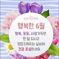 '인생은 자신이 원하는' 글에 포함된 이미지