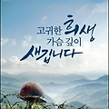 '몸에 생긴 상처는 병' 글에 포함된 이미지