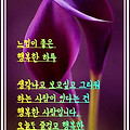 '오늘은 화가나도 웃는' 글에 포함된 이미지