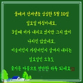 '5월의 둘째주 일요일 ' 글에 포함된 이미지