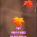 '우리 인생에는 산도 ' 글에 포함된 이미지