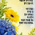 '두 눈이 있어 아름다' 글에 포함된 이미지