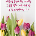 '지금, 이 순간에는 과' 글에 포함된 이미지
