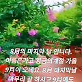 '8月의 마지막 날 입니' 글에 포함된 이미지
