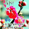 '안녕하세요? 요즘 코' 글에 포함된 이미지