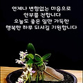 '영롱한 아침 이슬처럼' 글에 포함된 이미지