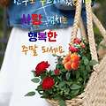 '안녕하세요? 즐거운 ' 글에 포함된 이미지