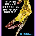 '사랑이 넘치는 하룻길' 글에 포함된 이미지