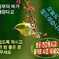 '오늘 하루도 고생하셨' 글에 포함된 이미지