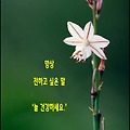 '남을 위해 도움의 손' 글에 포함된 이미지