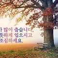 '안녕하세요?11월과 12' 글에 포함된 이미지