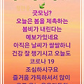 '코로나19로새상살이 ' 글에 포함된 이미지